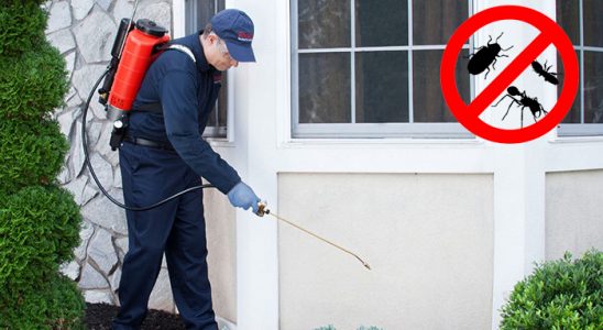 Kırşehir Gümüşkurt İlaçlama böcek ilaçlama ve haşere kontrolü — ilaclama-tr.com